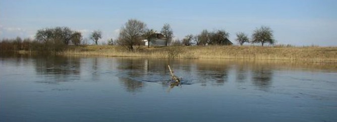 Река Конопелька